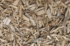 biomass boilers Pipers Ash